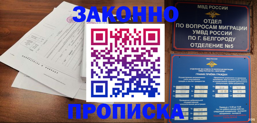 прописка в Димитровграде