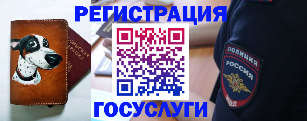 временная регистрация в квартире в Димитровграде